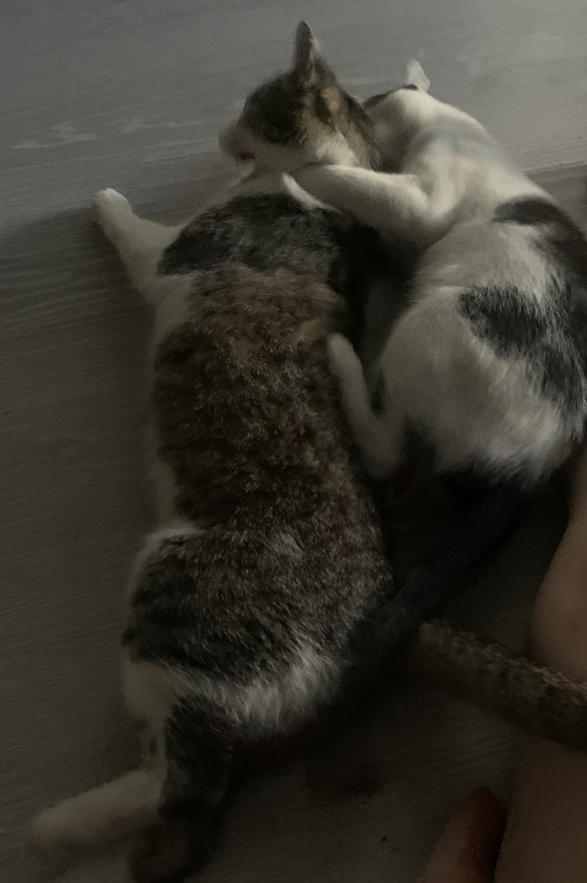 help me